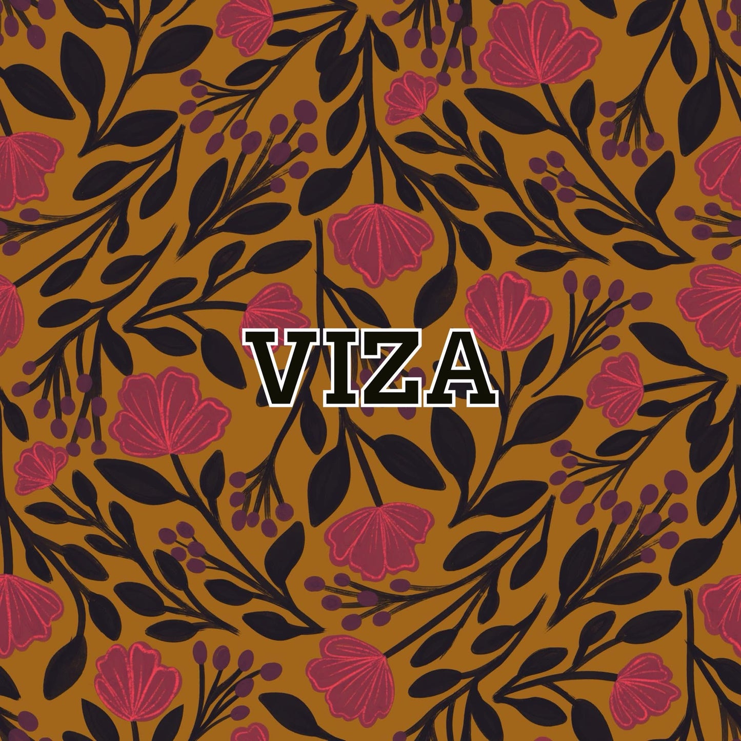 Viza