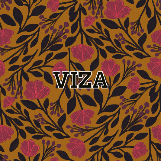 Viza