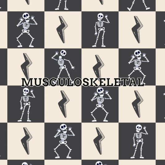 Muscle Skeleton